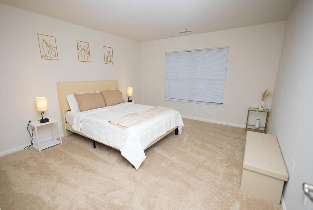 Perfect Stay! 1 Bedroom Mins To Dc Arlington Exteriér fotografie