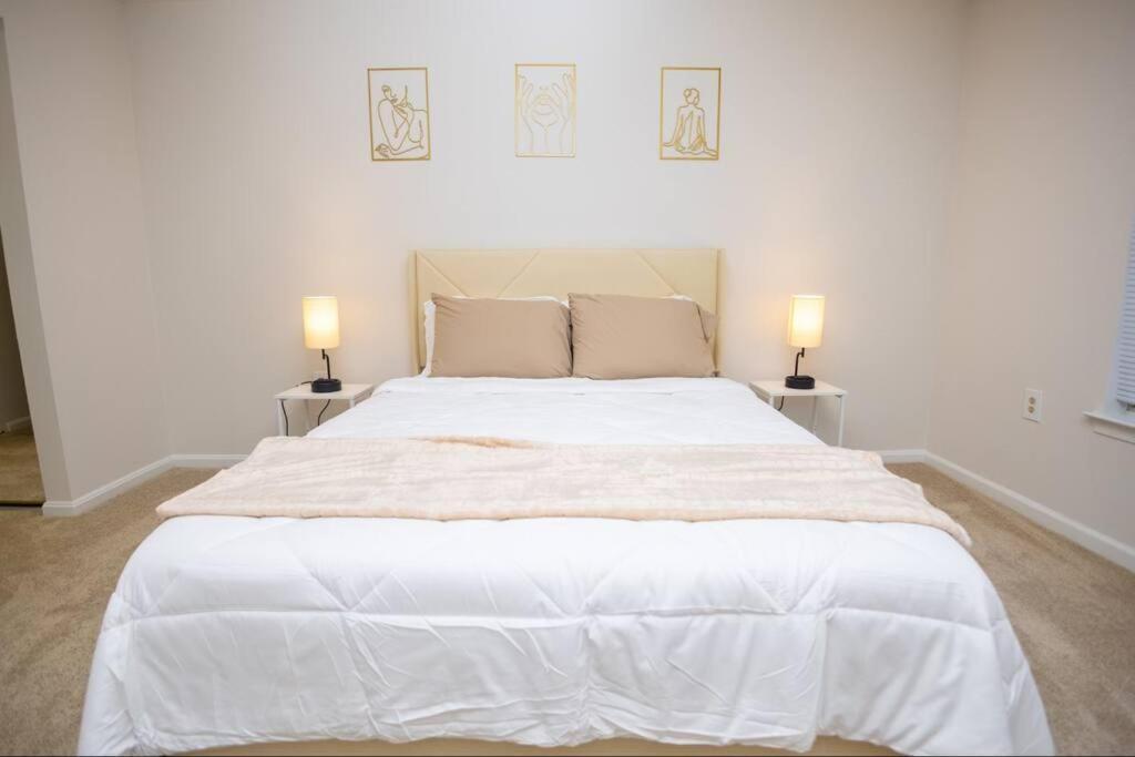 Perfect Stay! 1 Bedroom Mins To Dc Arlington Exteriér fotografie
